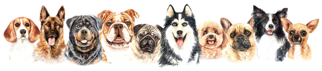 Border from watercolor portraits of dog, Watercolor dogs set, Banner dog paint. Hand painted watercolour drawing, isolate clip art on white background. Banner design