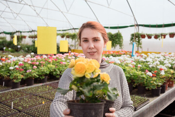 Woman holding begonia plants in hands shopping in garden mall