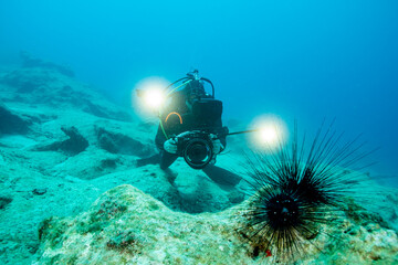 A view from the blue waters and the sea urchin with diver