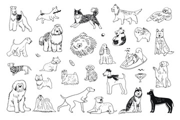 Dogs funny pets vector illustrations set - obrazy, fototapety, plakaty