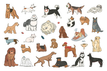 Dogs funny pets vector illustrations set