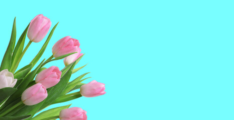 Beautiful bouquet with flowers on turquoise background, space for text. Banner design