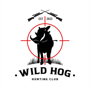 Wild hog hunting club logo, company logo design idea, vector illustration