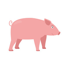 Pig vector illustration in flat style isolated on white background.