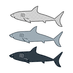 Shark vector illustration in 3 styles isolated on white background.