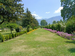 Fototapeta na wymiar View of Srinagar in Kashmir