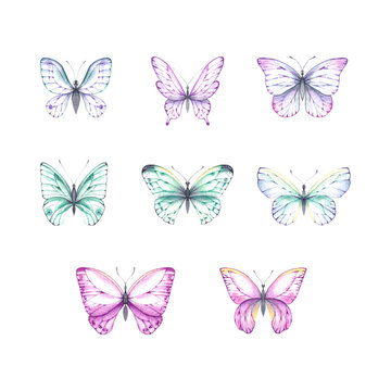 Watercolor set of butterflies on a white background