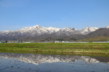 水田に映る雪景色をした芦別岳