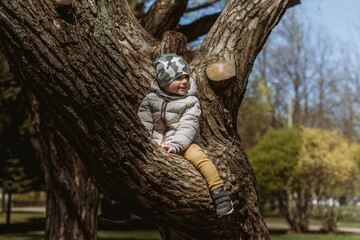 Fototapeta na wymiar A cute little boy wearing warm jacket and khaki beanie sitting on the branch of big tree. Image with selective focus