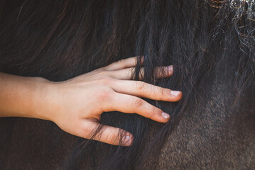 Mensch & Pferd © Petra Fischer