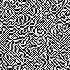 Reaction diffusion texture vector seamless organic rounded jumble maze lines patterns in black and white. Abstract nature backgrounds