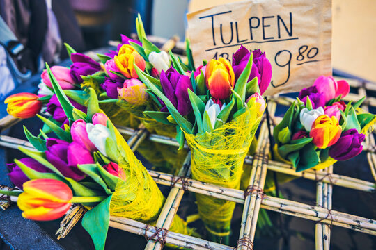 Colorful tulips for sale on the flower market in Germany. Tulip bouquets in flower shop. TRANSLATION from German: Tulips at 9.80 Euros price 
