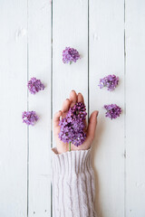 hands with lilac on a white background. palm on table purple