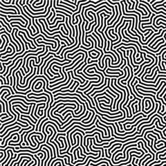 Obraz premium Reaction diffusion texture vector seamless organic rounded jumble maze lines patterns in black and white. Abstract nature backgrounds
