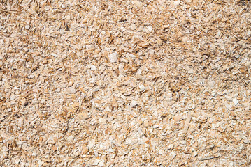 Background texture of sawdust 