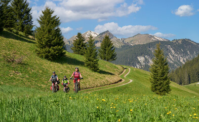 Fototapeta na wymiar group of three active seniors riding Their electric mountain bikes in the Lech Valley mountains near Reutte in Tirol, Austria