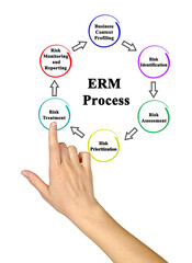 Enterprise Risk management (ERM) Process