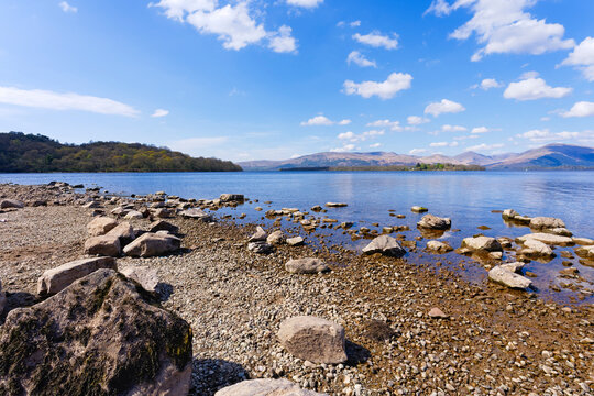 Bright Spring Morning On The Shores Of Loch Lomond