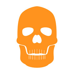 Human skull simple vector illustration.