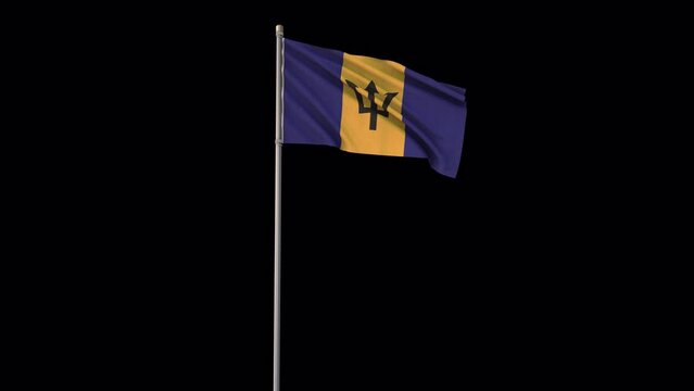 Barbados flag, 4k video background is transparent