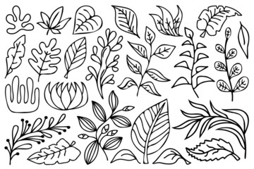 Black outline botanical design elements. Line art flowers, branches and leaves, black and white illustration set.