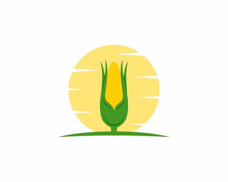 Corn with sunrise illustration logo
