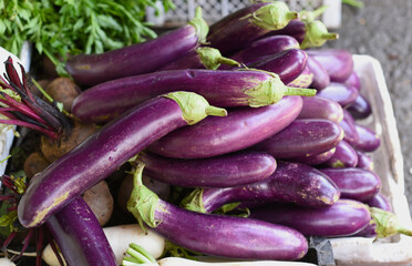 Many eggplants at the Vinh Hai market of Nha Trang of Vietnam
