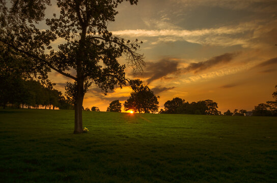 Evening Sun over Brockwell Park