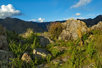 Russia. South Of Western Siberia. Mountain Altai. Amazing stone placers in the Katun river valley...