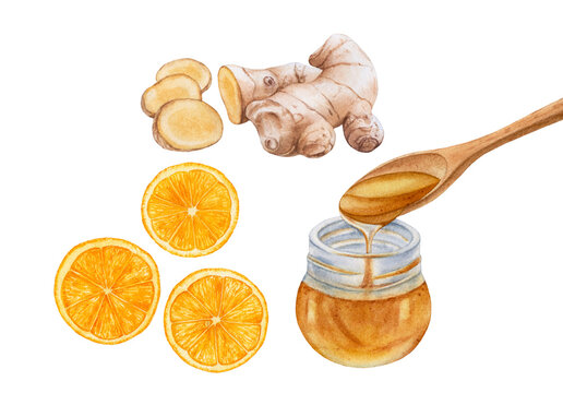 Watercolor Honey Jar, Ginger Root, Orange Slices Isolated On White Background.