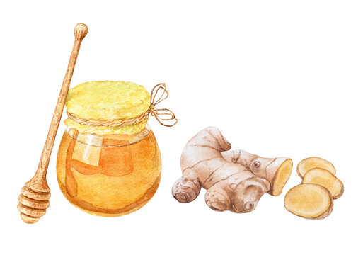 Watercolor Honey Jar With Wooden Stickm Ginger Root, Isolated On White Background.