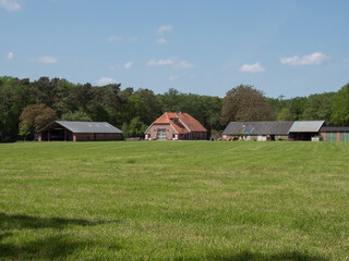 Fototapeta na wymiar Farm ranch in Area the Achterhoek in Gelderland, the Netherlands