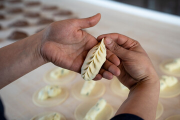 Close-up of female hands showing fresh homemade culurgiones pasta. Italian typical filled pasta...