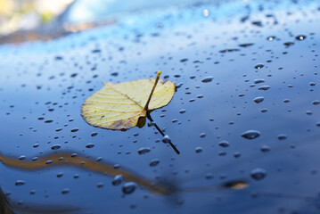 gouttes d'eau de pluie sur carrosserie