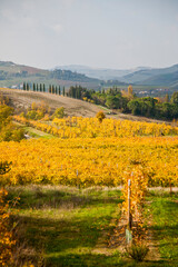 Fototapeta na wymiar Panorami autunnali in Italia. Colline dell'Emilia Romagna