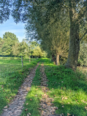 Réserve Gemene Weidebeek (Bruges) en automne