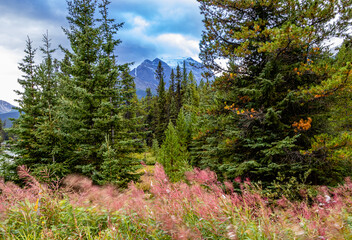 Lake Louise Banff National Park Alberta Caanda
