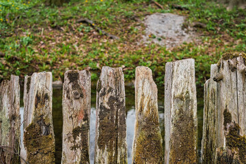 Idea background, old wooden fence overgrown with moss. The texture of the surface of the moss on the tree. Abstract background with copy space. Selective soft focus on fence boards, care for nature
