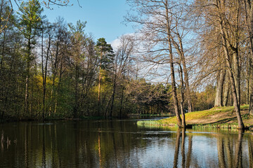 Fototapeta na wymiar Beautiful spring lake in a public forest park. Spring early evening, sunny day, blue sky with clouds. Northern nature, beginning of spring. Banner idea