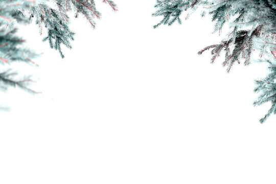Winter frozen tree branch Photo frame s, Photoshop frame , pine icy snow branch, png