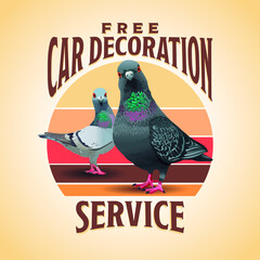 Pigeons free car decoration service, funny doves, crazy pigeons