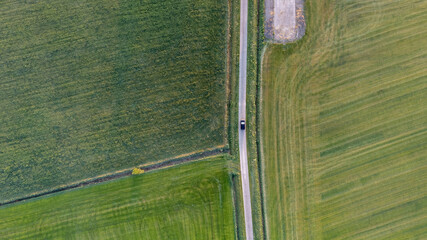 Aerial view drone shot of fresh green field in Spring near Brecht by Antwerp, Belgium with curvy road between fields. High quality photo