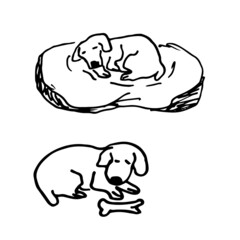 Vector hand drawn illustrations of a dog