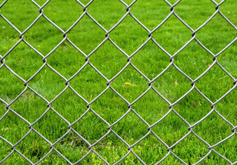 Bright green grass with chain link fence pattern