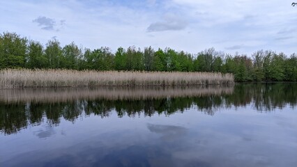 Fototapeta premium lake in the forest