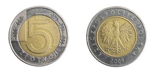Polish five zloty coin on a white isolated background