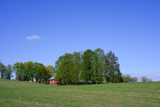 Rural farmland of Toten, Norway, in May.