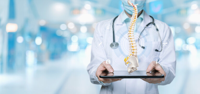 Doctor showing spine on digital tablet .