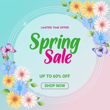 vector banner template spring sale with colorful daisy flowers elements like chrysanthemum and buterfly in the background