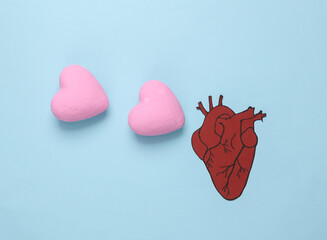 Love concept. Anatomical heart and love hearts on a blue background. Valentine's Day. 14th February